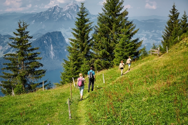 Tal- & Gipfeltour: Rigi Scheidegg - Rigi Kaltbad