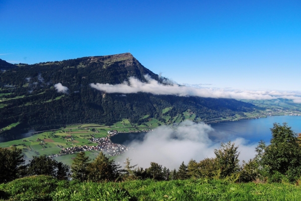 Tal- & Gipfeltour: Rigi Klösterli - Wildspitz