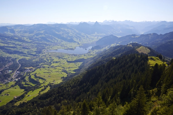 Rigi Scheidegg - Dächli - Kräbel