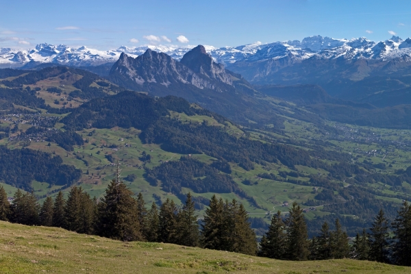 Tal- & Gipfeltour: Wildspitz - Sattel - Mostelberg