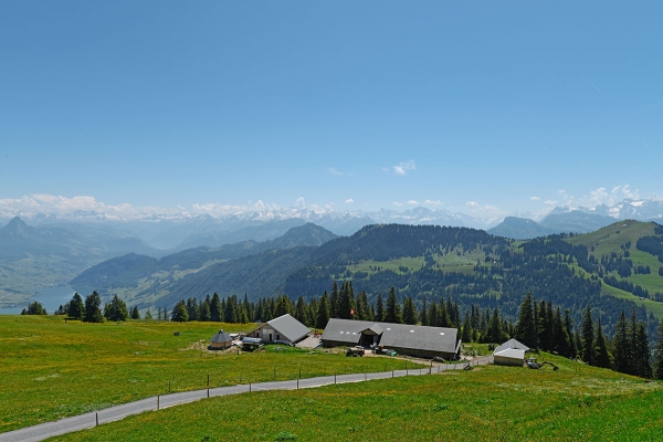 Tal- & Gipfeltour: Rigi Kaltbad - Rigi Klösterli