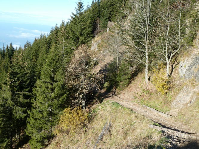 Der Weg führt durch die Rigi Bänder