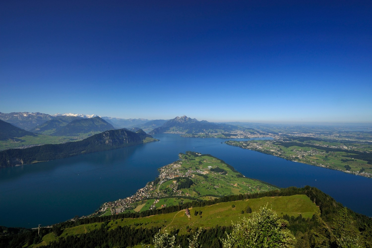 Aussicht auf den Vierwaldstättersee