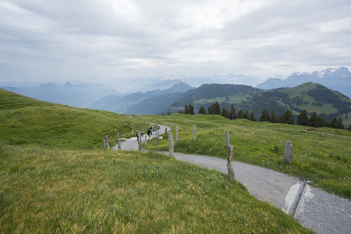 Weg Richtung Chäserenholz