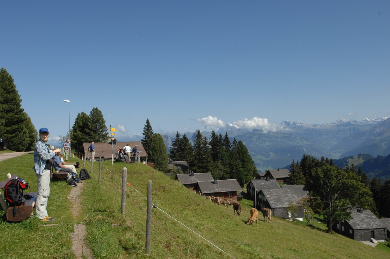 Rigi Scheidegg