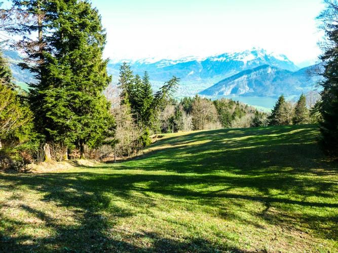 Über Wiesen und Wälder dem Wildspitz entgegen