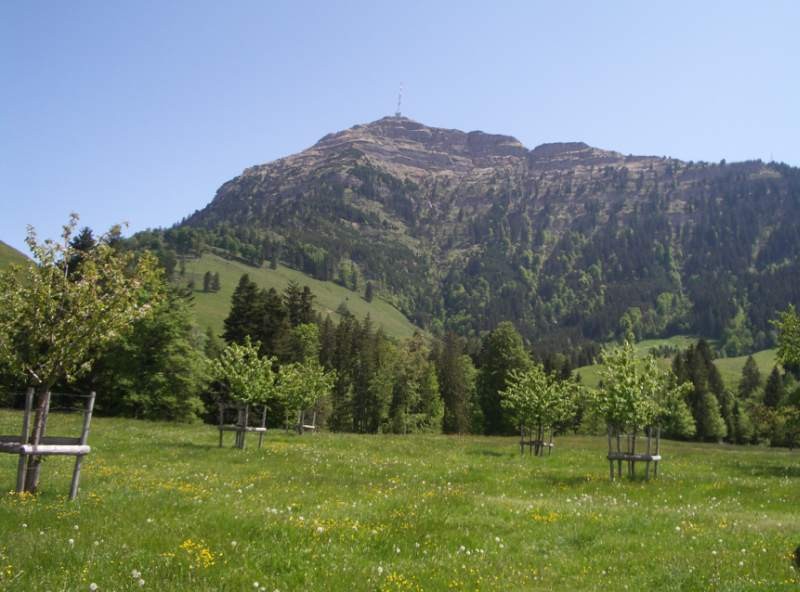 Seebodenalp