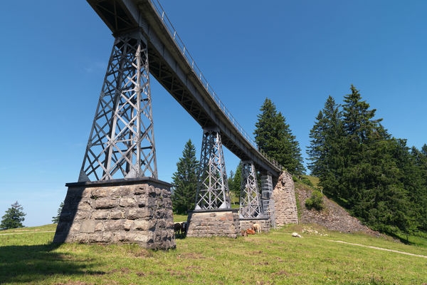 Rigi Gratwanderung