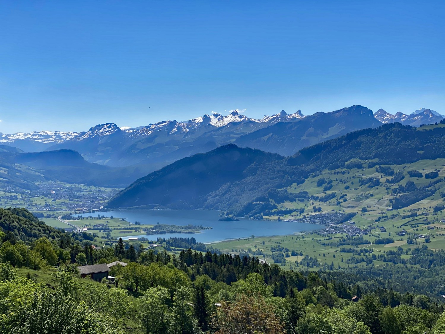 Blick auf den Lauerzersee