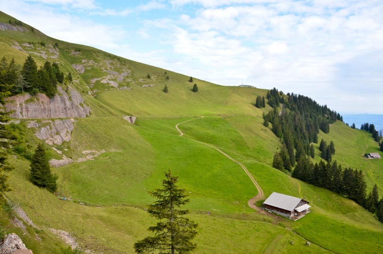 Der Wanderweg am Dossen