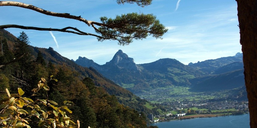 Blick vom Waldstätterweg zurück auf Brunnen und den Mythen