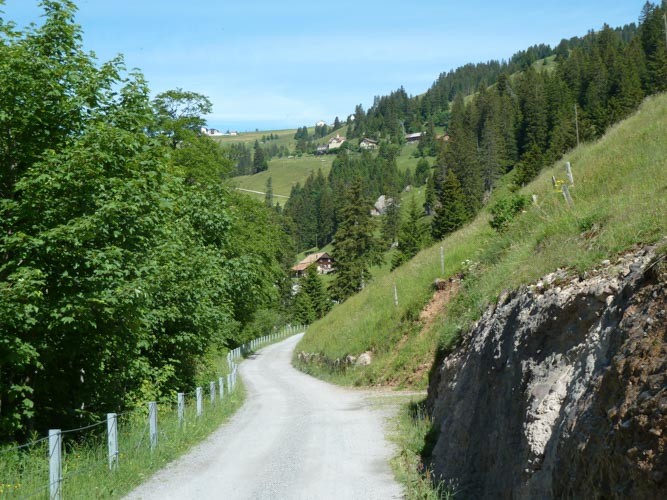 Blick zurück Richtung Rigi-Staffel